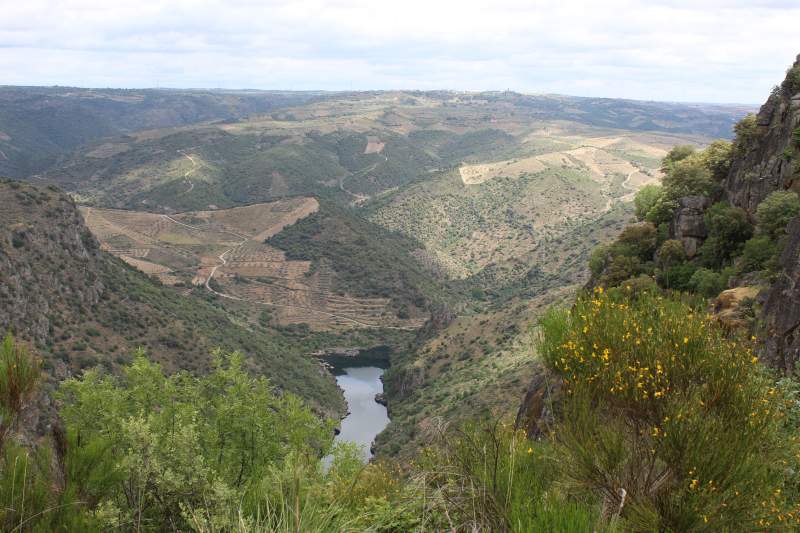 Parque Natural Arribes Del Duero En Perena Y Reserva De La