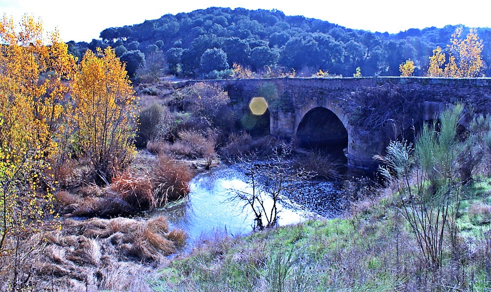 Puente en gallegos de Argañán