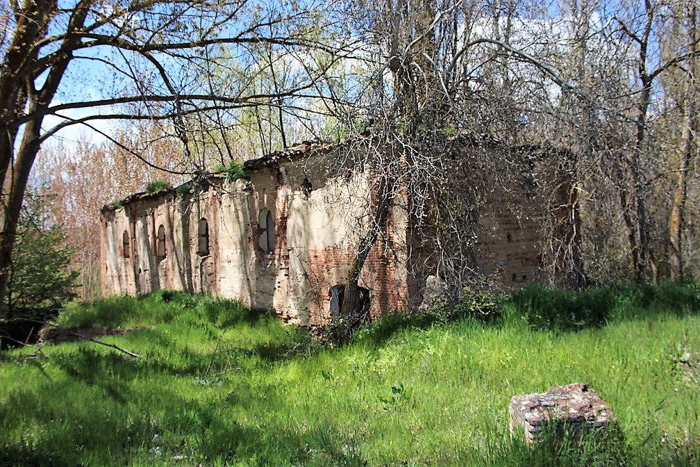 Alameda y Ruinas de Molino
