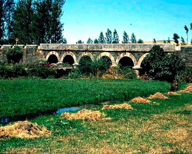 Puente Alcañices